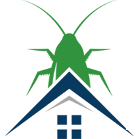  ketaki pest management Hydearabad