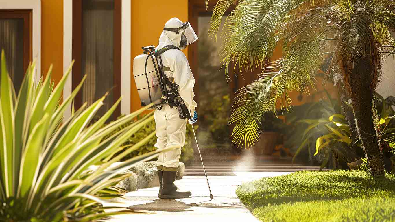 Best Pest Control Services Hyderabad